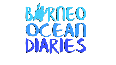 Borneo Ocean Diaries