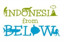 Indonesia from Below
